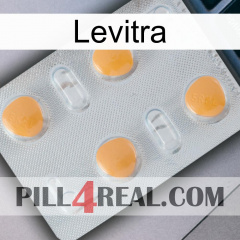 Levitra 24